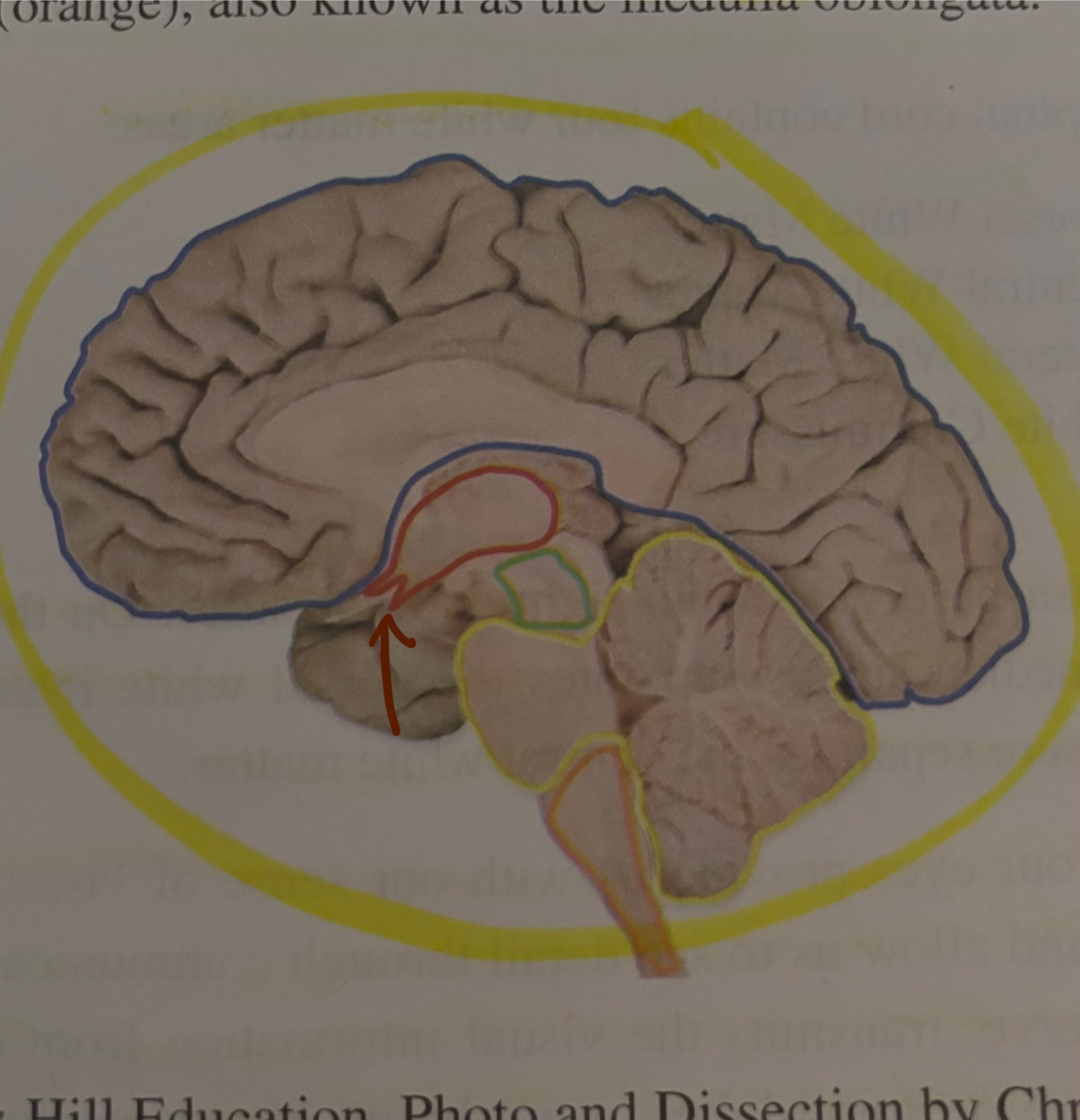 <p>What region is this?</p>