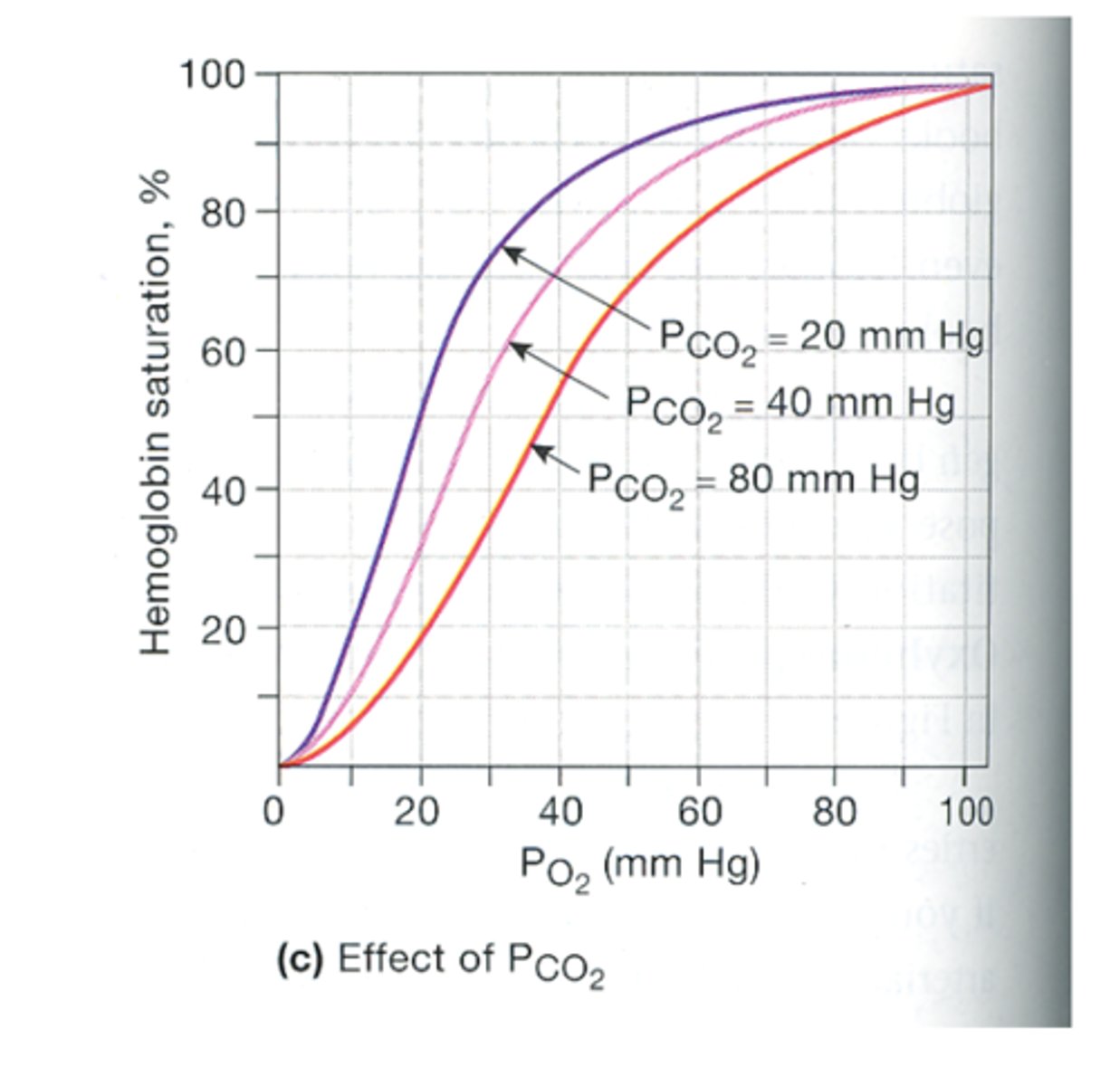 <p>-increased PCO2 --&gt; decrease Hb affinity for O2 (shifts curve right)</p><p>-decreased PCO2 --&gt; increases Hb affinity for O2 (shifts curve left)</p><p>*these changes happen independently of pH changes </p>