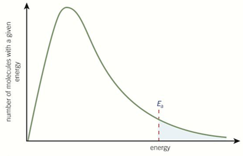 <p>-bell-shaped curve</p><p>-the<strong> area under</strong> the curve = the <strong>total number</strong> of particles</p><p>-curve starts at the <strong>origin</strong> = <strong>no</strong> molecules have <strong>no energy</strong></p><p>-curve does <strong>not touch x-axis</strong> = <strong>no maximum</strong> energy</p><p>-only the molecules with <strong>energy greater than Ea can react</strong></p><p>-<u>the </u><strong><u>area under</u></strong><u> the curve does </u><strong><u>not change </u></strong></p>