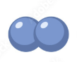 <p>Morphology name</p>