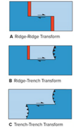 <ul><li><p>Slides horizontally past one another</p></li><li><p>Transforms may connect:  </p><ul><li><p>two offset segments of mid-oceanic ridge and a trench. Two trenches </p></li><li><p>Transform offsets of mid-oceanic ridges allow series of straight-line segments to approximate curved boundaries required by spheroidal earth.</p></li></ul></li></ul>