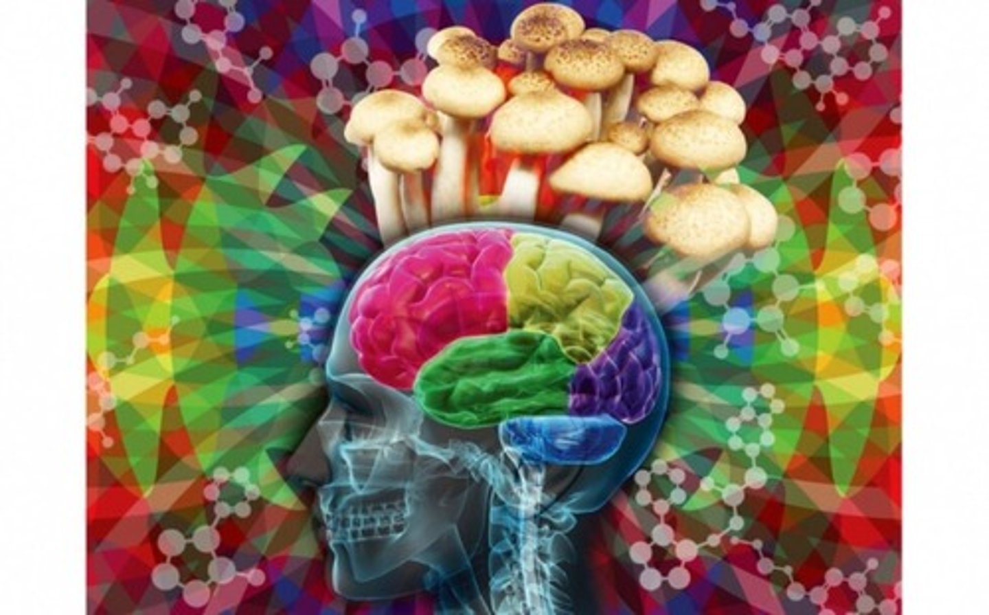 <p>A substance that alters mood, perception, mental functioning, or behavior</p>