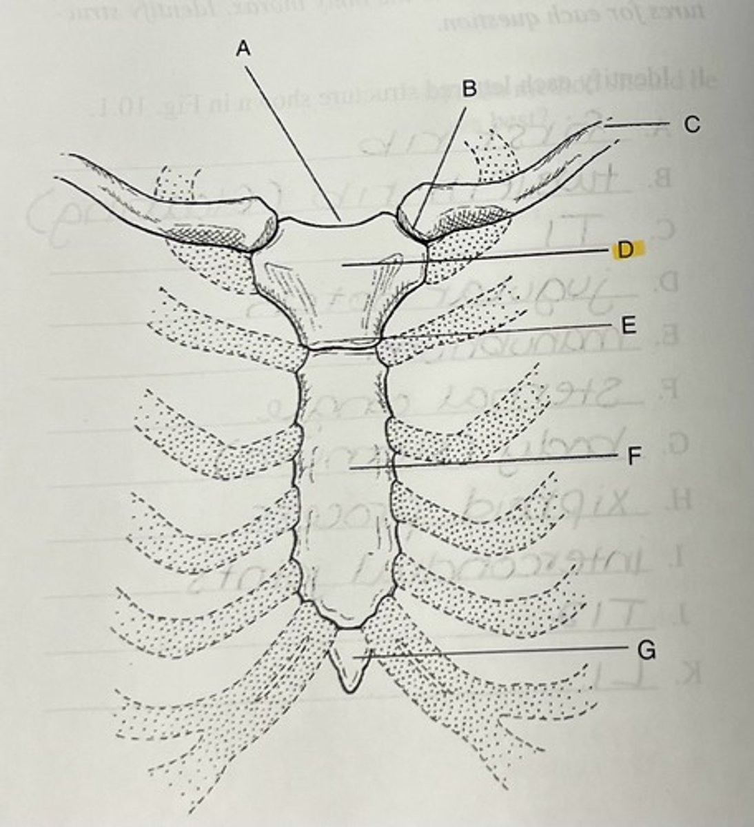 knowt flashcard image