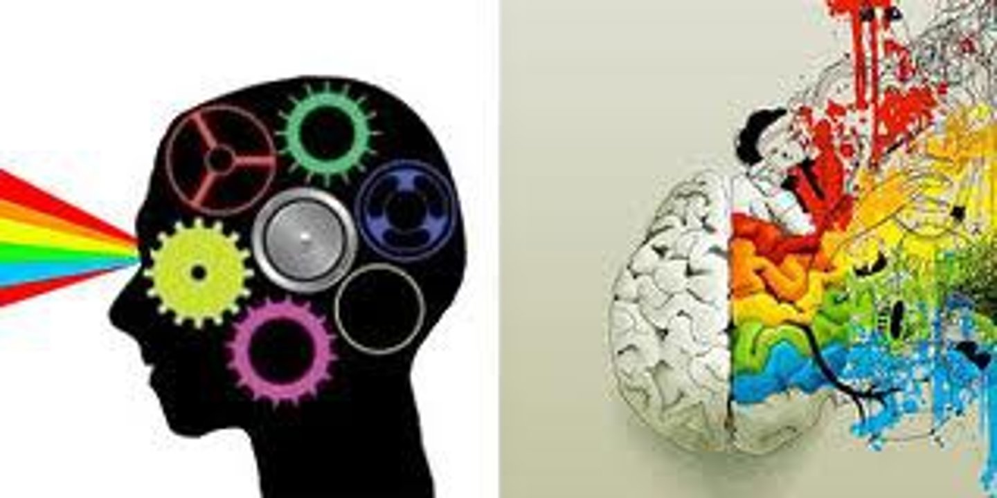 <p>the processing of information into the memory system</p>