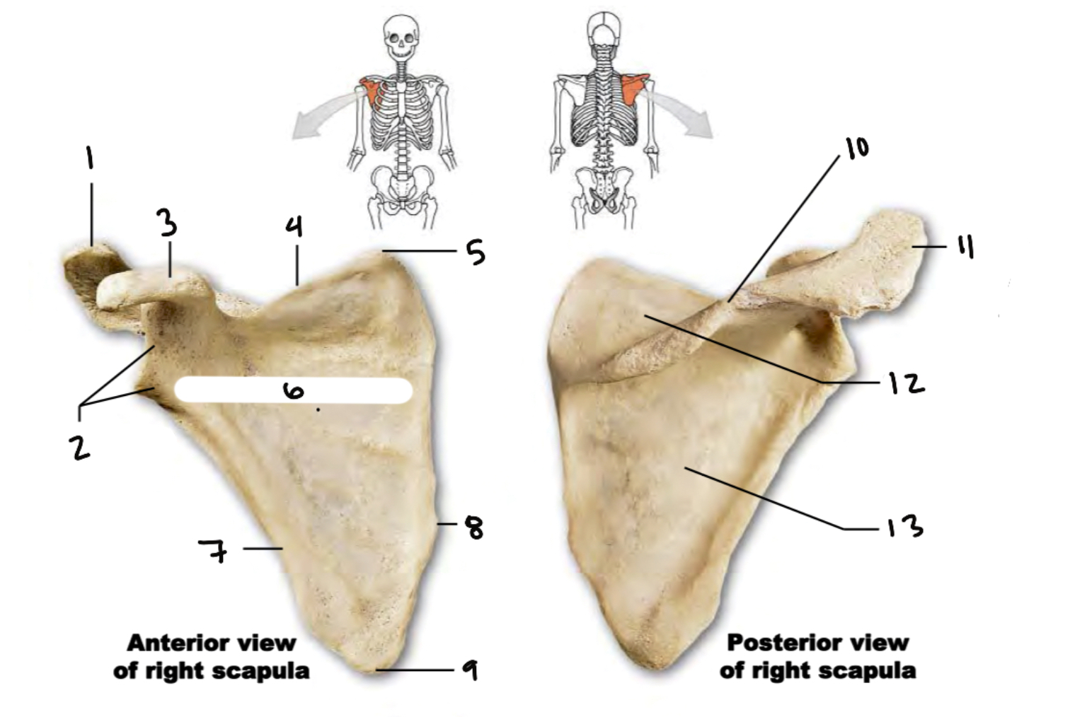 <p>2</p>