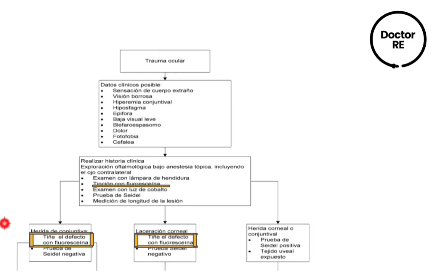 <p>¿COMO SE REALIZA EL DX?</p>