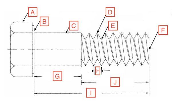 <p>E</p>