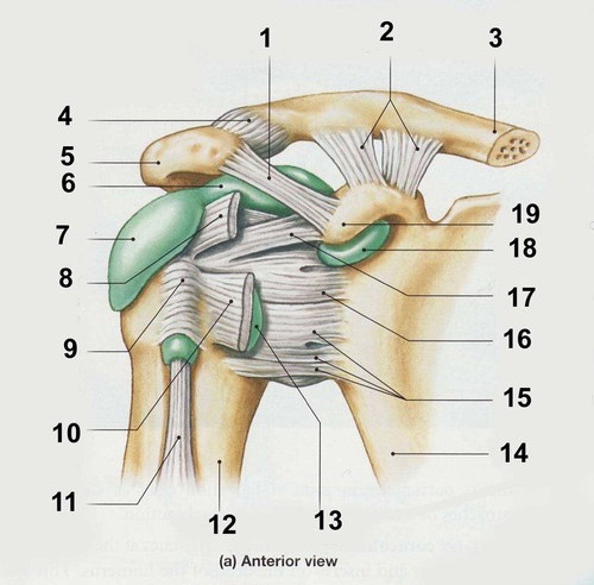 <p>look at 2</p>