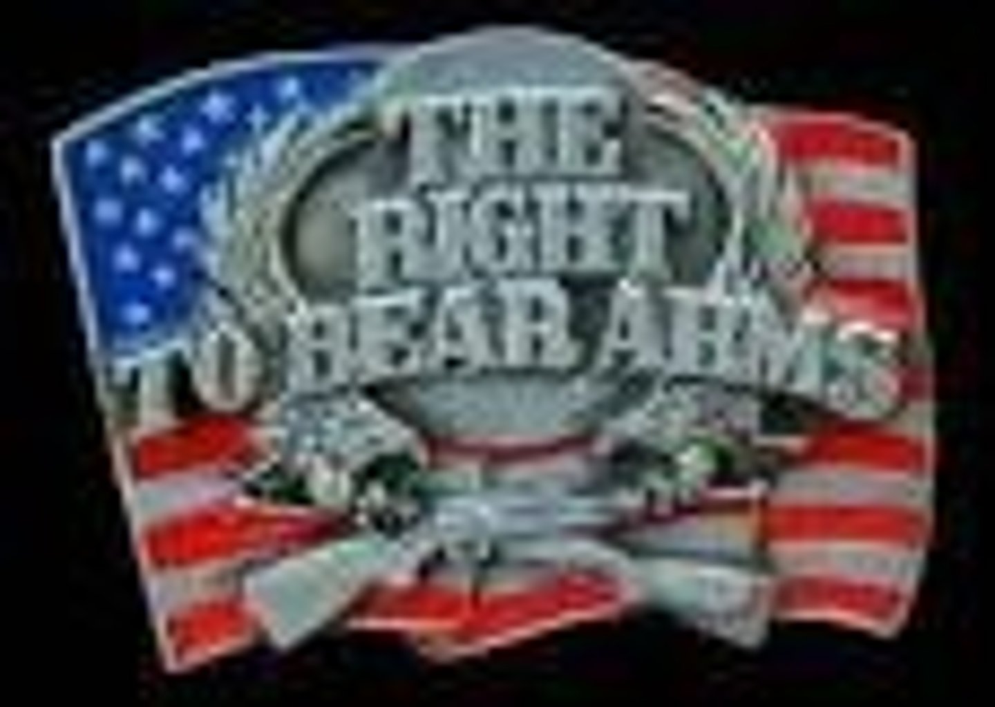 <p>Right to bear arms</p>
