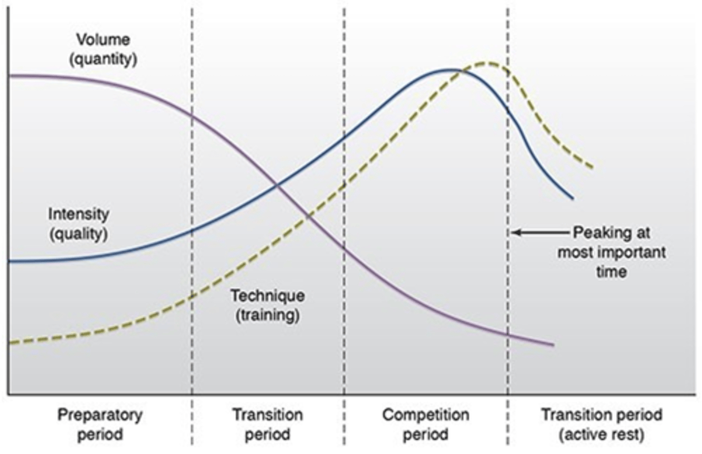 <p>An approach that partitions a training program into specific time intervals and establishes systematic variation in intensity, reps, sets, and frequency</p>