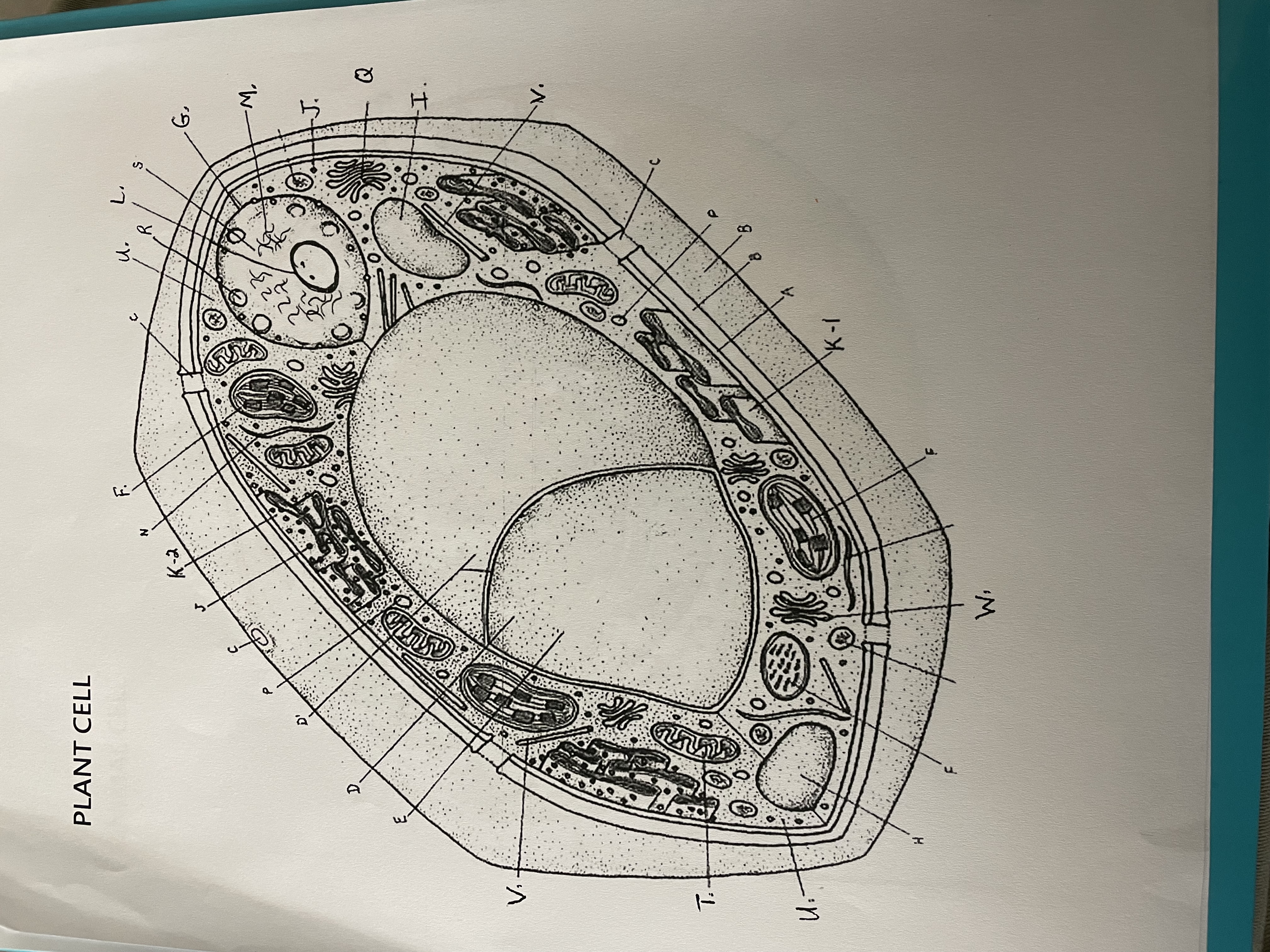<p>Find G</p>