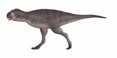 <p><em>G</em>ive me the scientific name of this species.</p>