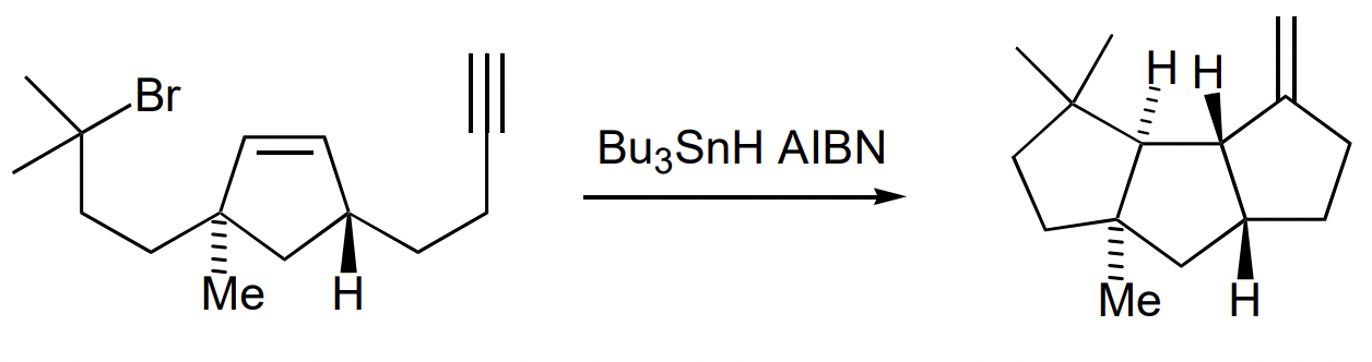 <p>before radical termination, a radical can undergo multiple reaction steps </p><p>i.e. </p>
