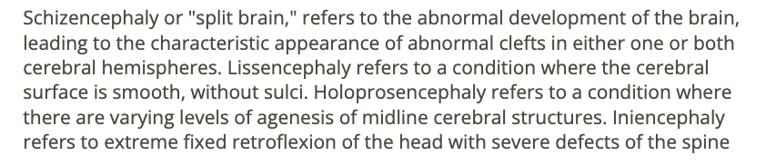 <p>d) schizencephaly</p>