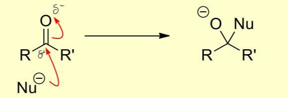 <p>The nucleophile donates electrons to the electrophile, resulting in the formation of a new sigma bond and breaking the C-O pi bond.</p>