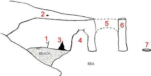 <p>Describe the formation of arches, stacks and stumps at stage 1?</p>