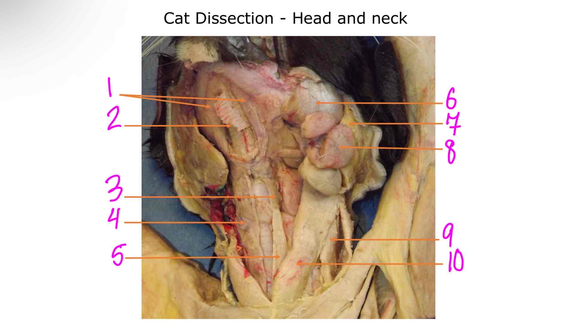<ol><li><p></p></li><li><p></p></li><li><p></p></li><li><p></p></li><li><p></p></li><li><p></p></li><li><p></p></li><li><p></p></li><li><p></p></li><li><p></p></li></ol>