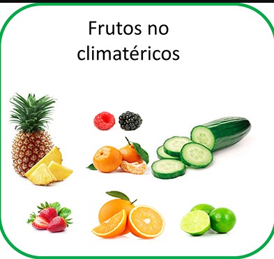 <p><span style="font-family: Arial, sans-serif">Maduran SOLO cuando permanecen en la planta</span></p>