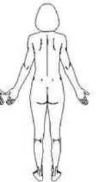 <p>to be situated toward the back of the body</p>