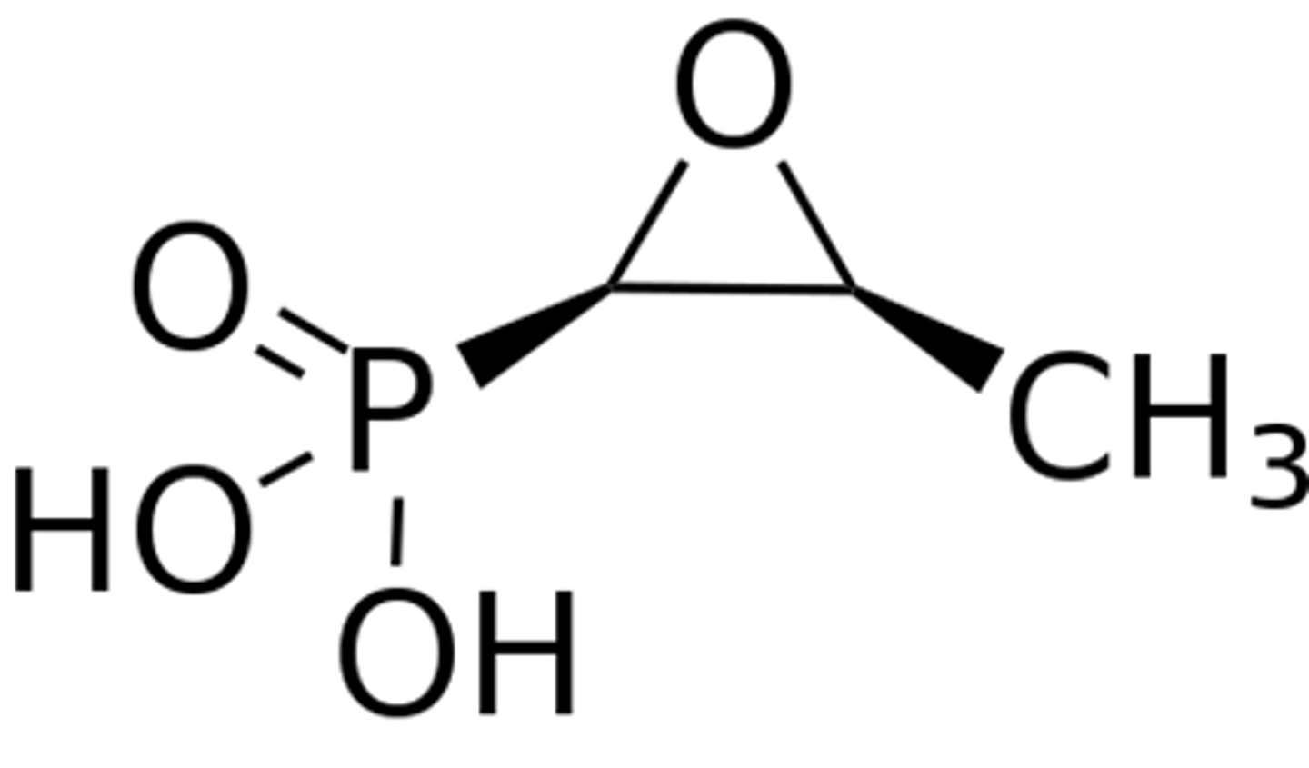 <p>- epoxide 3 membered strained ring and super negatively charged</p><p>- inhibits the bacterial enzyme MurA needed for synthesis of peptidoglycan</p><p>- mimics phosphoenolpyruvate</p><p>- irreversible Inhibitor, needs active transport</p><p>- used for UTI, concentrates in the urine</p>