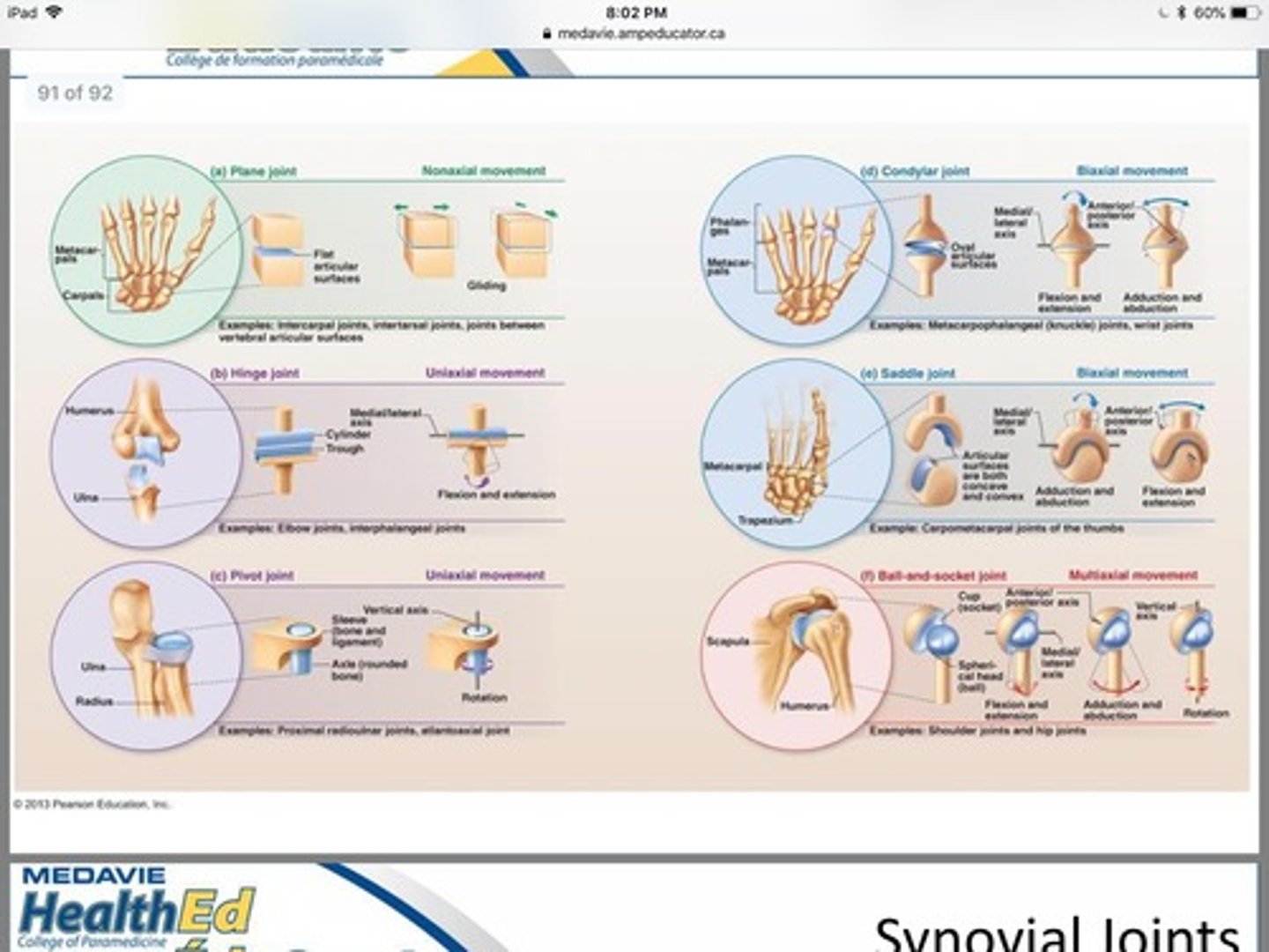 <p>Plane (glide), Hinge (flex/extend), Pivot (rotate), Condylar (biaxial), Ball-and-socket (multiaxial)</p>