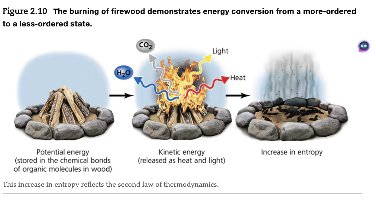 <p>The decision and practice of using less energy (Efficiency - l)</p>