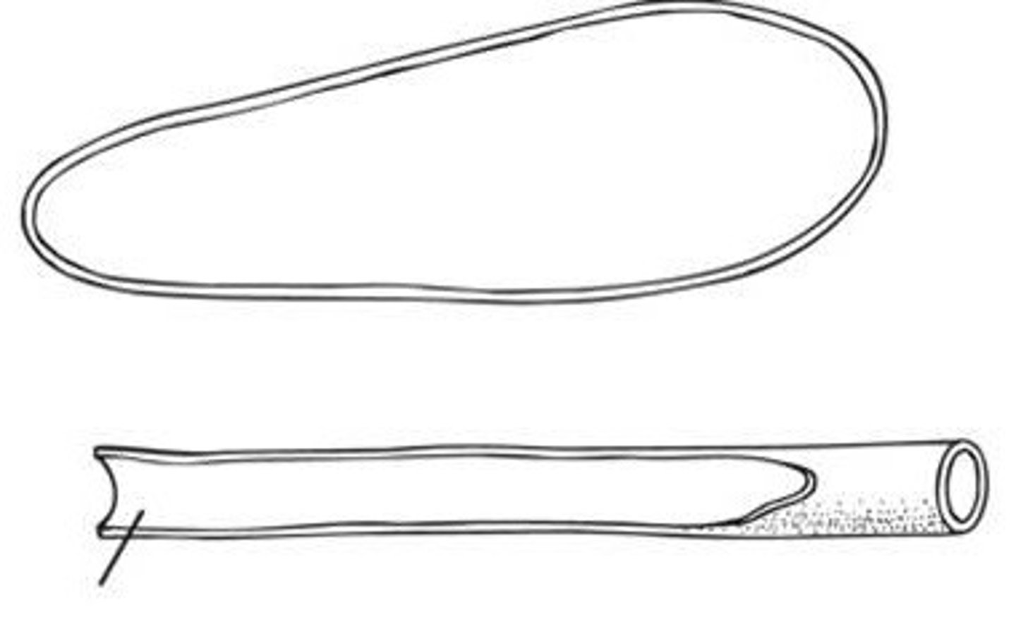 <p>Gas bladder does not have a connection to the gut</p><p>- Derived fishes, 2/3 of all fishes</p><p>- Increases or decreases by diffusion of gases in and out of blood</p>