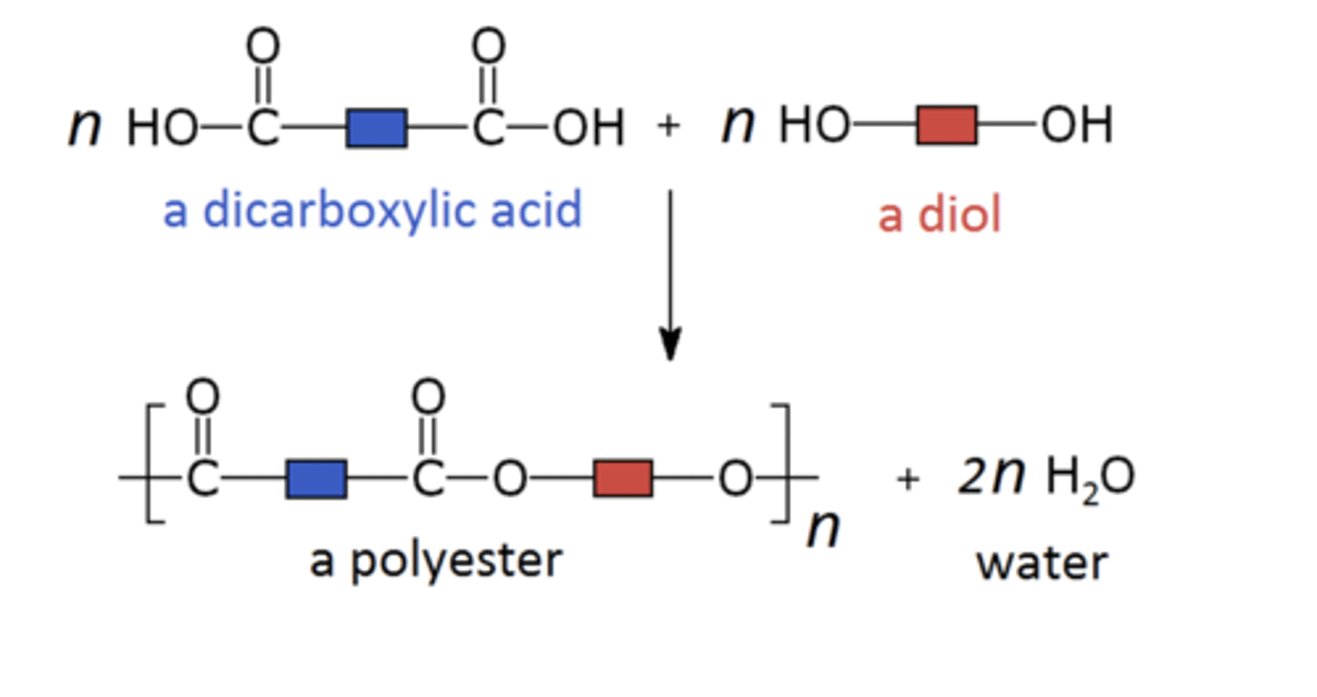 <p>polyesters (condensation polymers)</p>