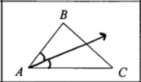 <p>Angle Bisector</p>