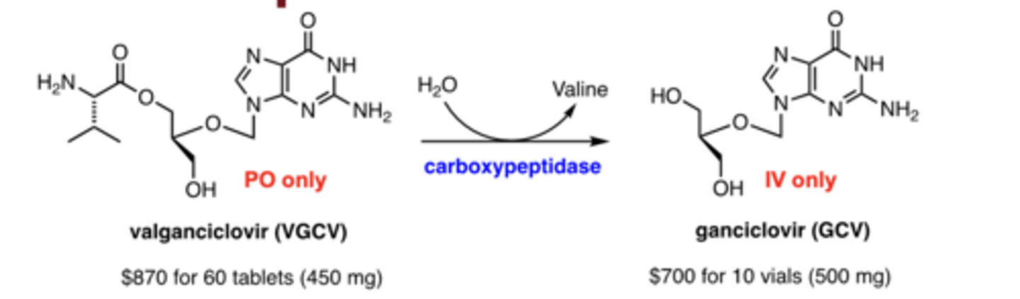 <p>via carboxypeptidase</p>