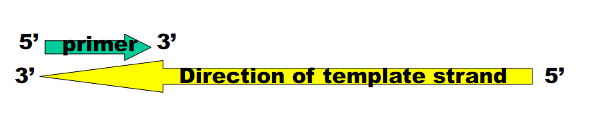 <p>d) </p>