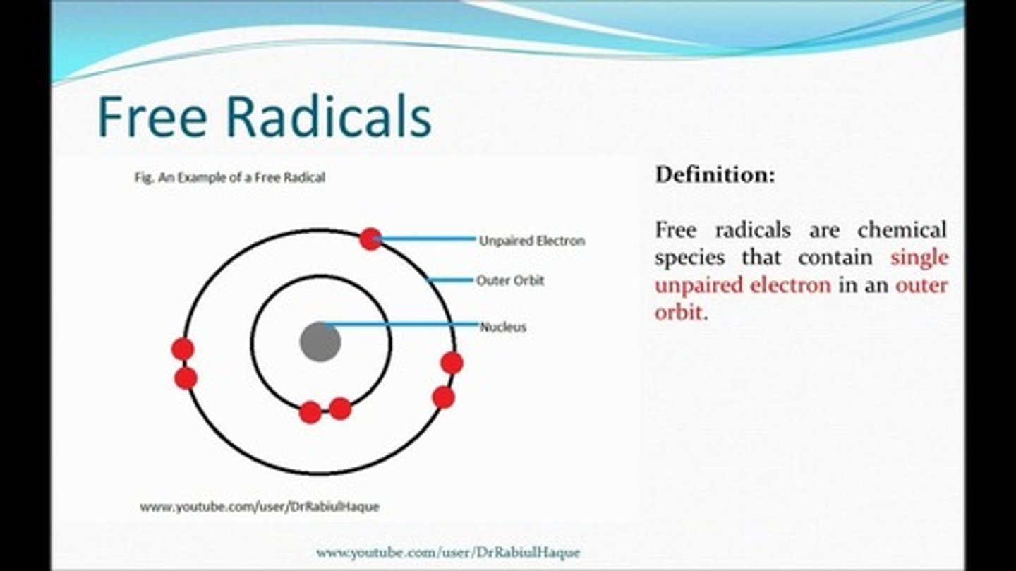 <p>A free radical is an unstable atom or molecule that has unpaired electrons, which can cause oxidative damage to DNA.</p>
