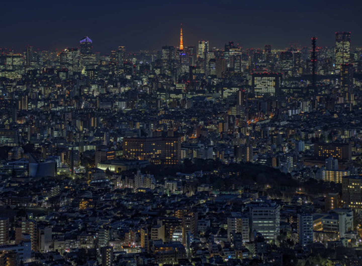 <p>a very large, heavily populated city or urban complex</p>