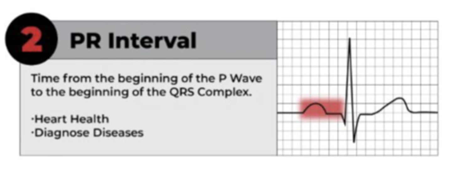 <p>• End of the P wave to the start of the QRS complex</p><p>• Reflects how conduction is slowed through the AV node and the time delay between atrial and ventricular depolarization</p>