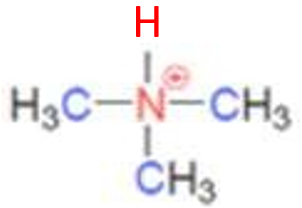 <p>what class of ammonium ion is this</p>