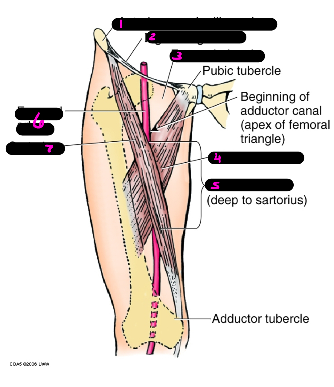 <p>1</p>