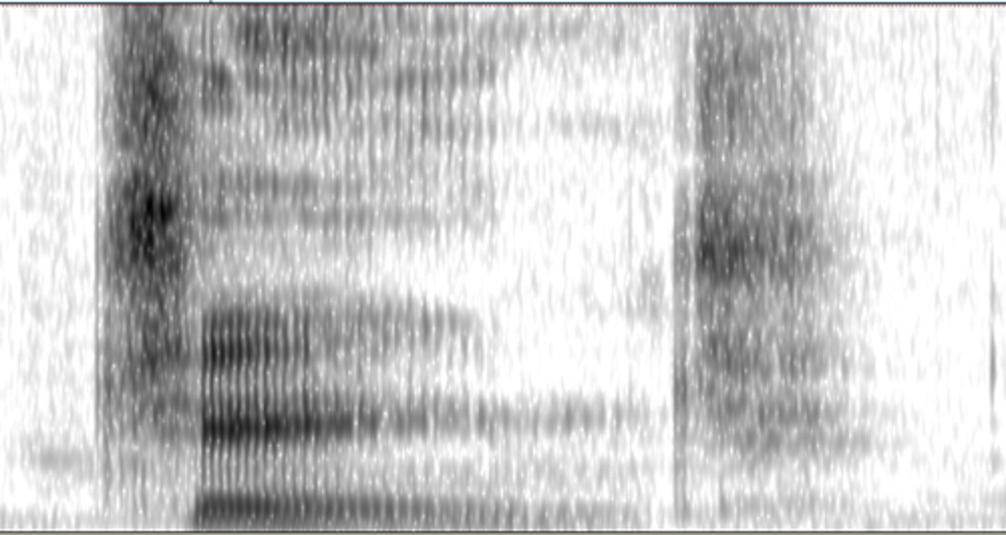 <p>Select the word that matches the spectrogram best.</p>