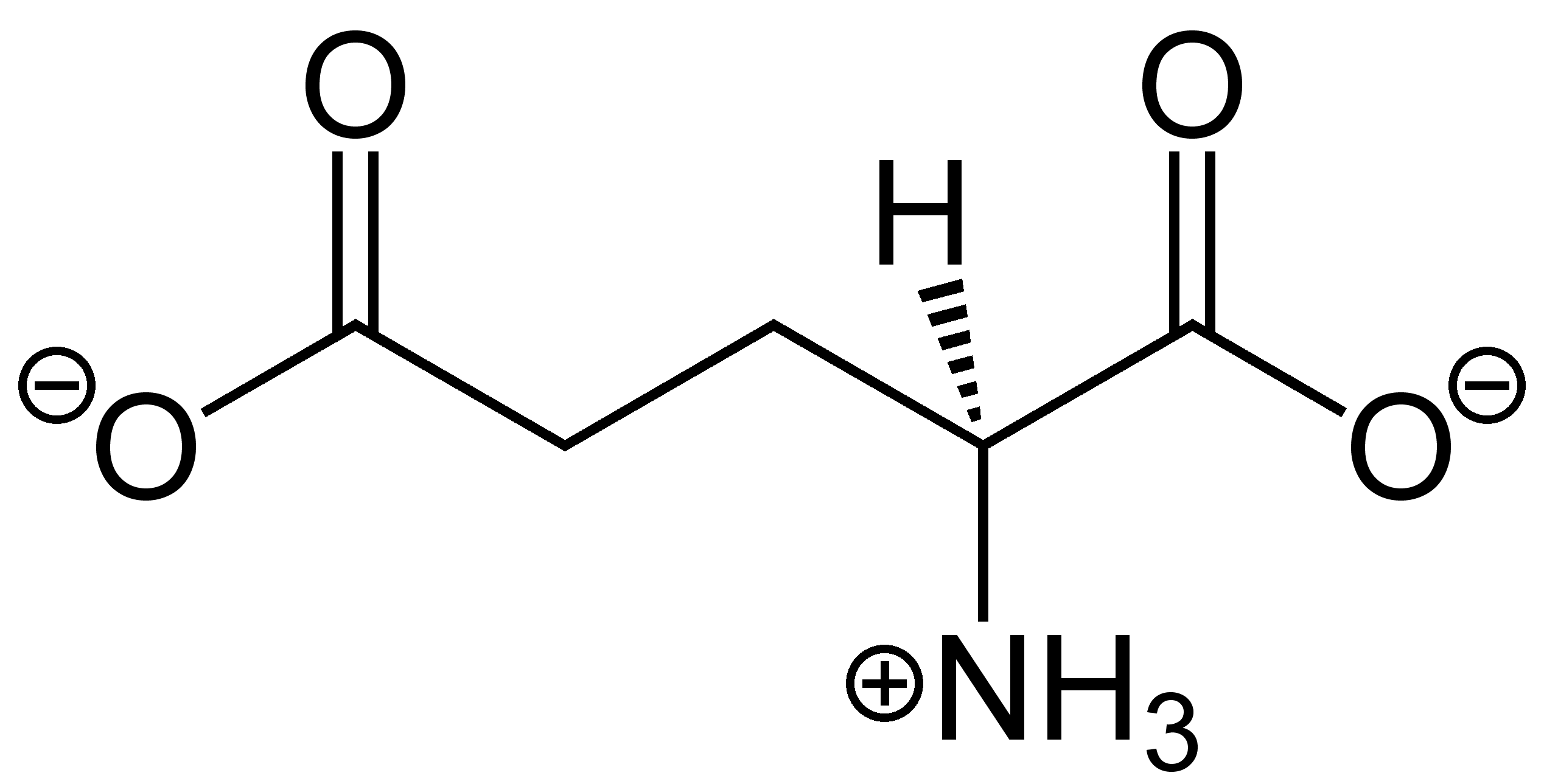 <p>Amino Acid?</p>