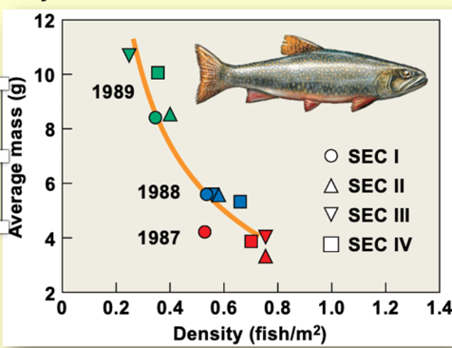<p>higher the density of fish in stream means smaller fish size</p><p>---------------</p><p>BOOK</p><p>- data reveals an inverse relationship between average mass of individuals and density of surviving brook trout over the study period</p>