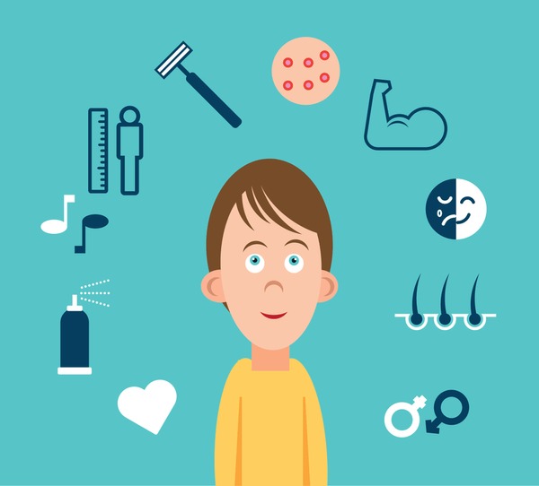 <p>• Voice Deepens</p><p class="has-focus">• Shoulders Widen</p><p class="has-focus">• Penis Grows</p><p class="has-focus">• Facial Hair Grows</p>