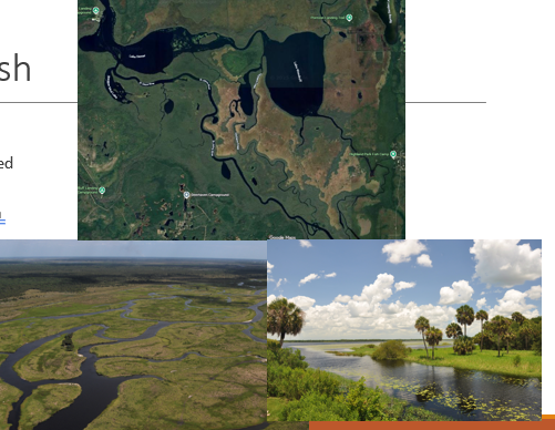 <p><span><span>Marshy occurring in river floodplains</span></span></p><p><span><span>May have shrub thickets on raised soil with high diversity of forbs.</span></span></p><p><span><span>Woody vegetation sparse to non-existent</span></span></p><p><span><span>Influenced directly by river flooding.</span></span></p><p><span><span>Soils typically sandy</span></span></p>