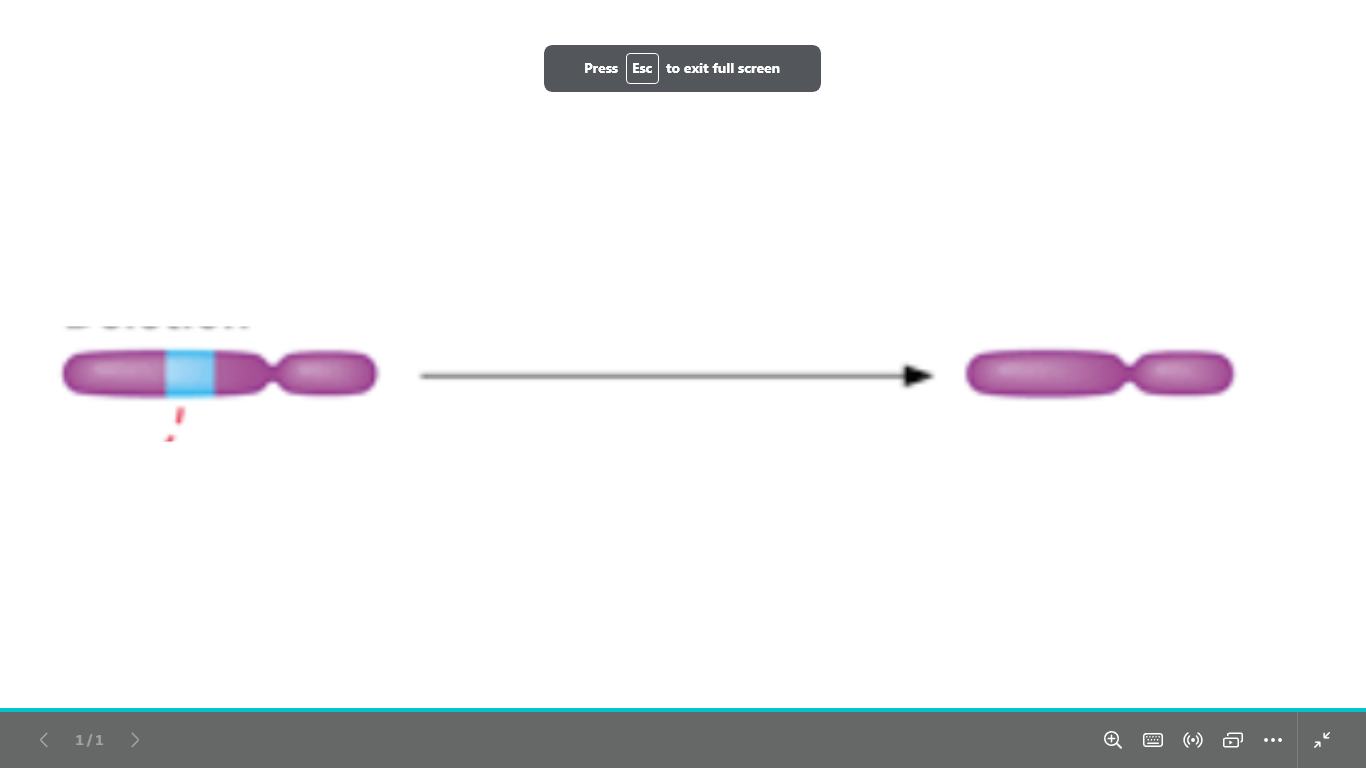 <p>what type of chromosomal abnormality is </p>