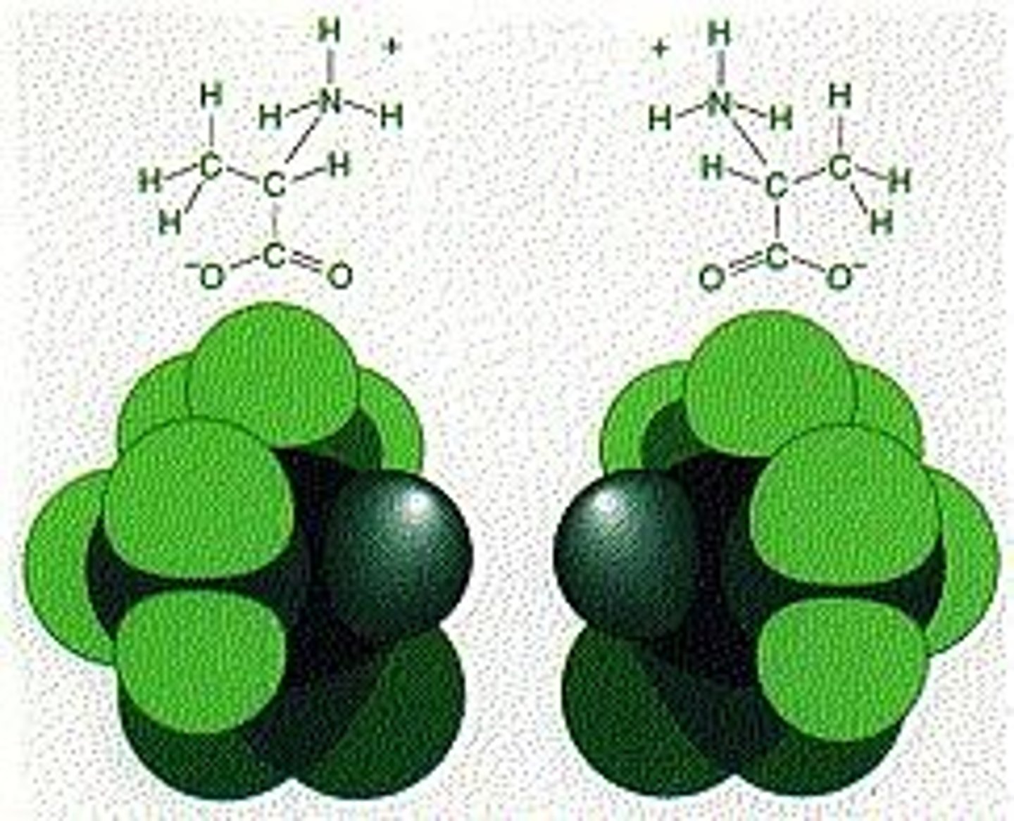 <p>Molecules with the same molecular formula but different structures and properties.</p>