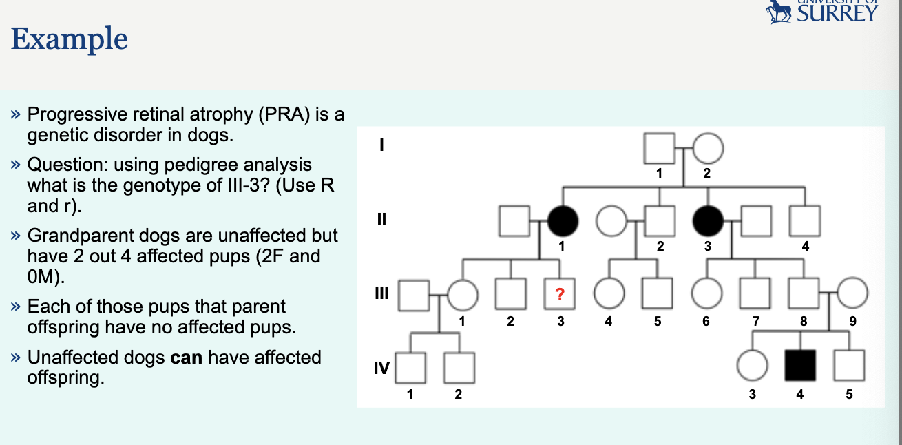<p>study this case study - im guessing exam questions are like this - not necessarily the condition but the type of Q</p>
