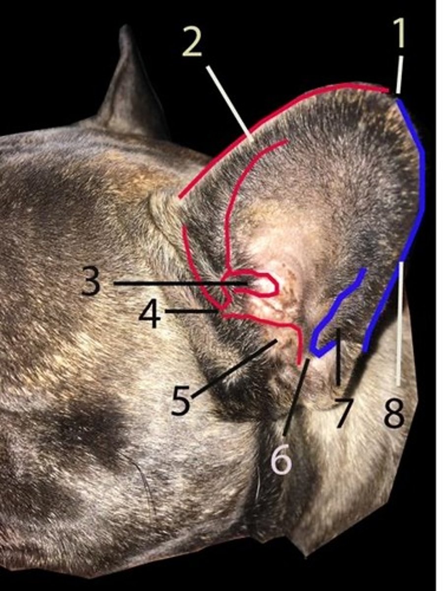 <p>4?</p>