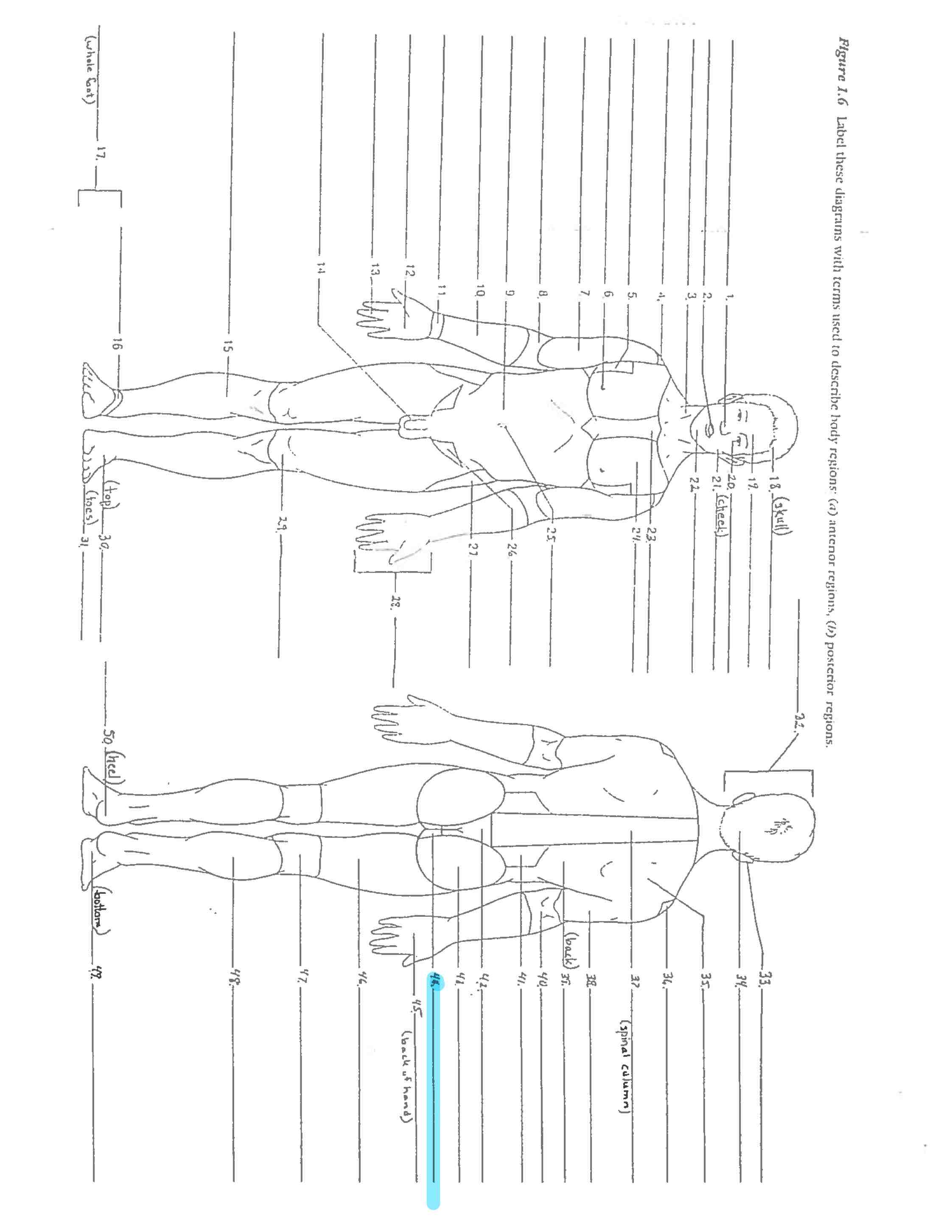 <p>Line 44</p>