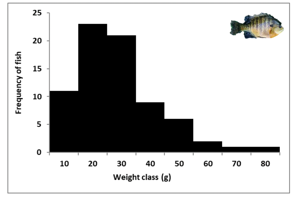 <p>Graph type? y-axis 0-n</p>