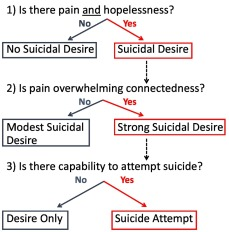 <ul><li><p>two stages of suicide: ideation, attempts</p></li><li><p>different explanations for the two stages</p><ul><li><p>pain, connectedness, and means</p></li><li><p>only when your have significant pain, significant loss of connectedness, and the means to do so, do you go from ideation to attempt</p></li></ul></li></ul><p></p><ul><li><p>most people (~40%) with suicide ideation do not attempt</p></li><li><p>things that predict ideation do not always predict attempts</p></li></ul>