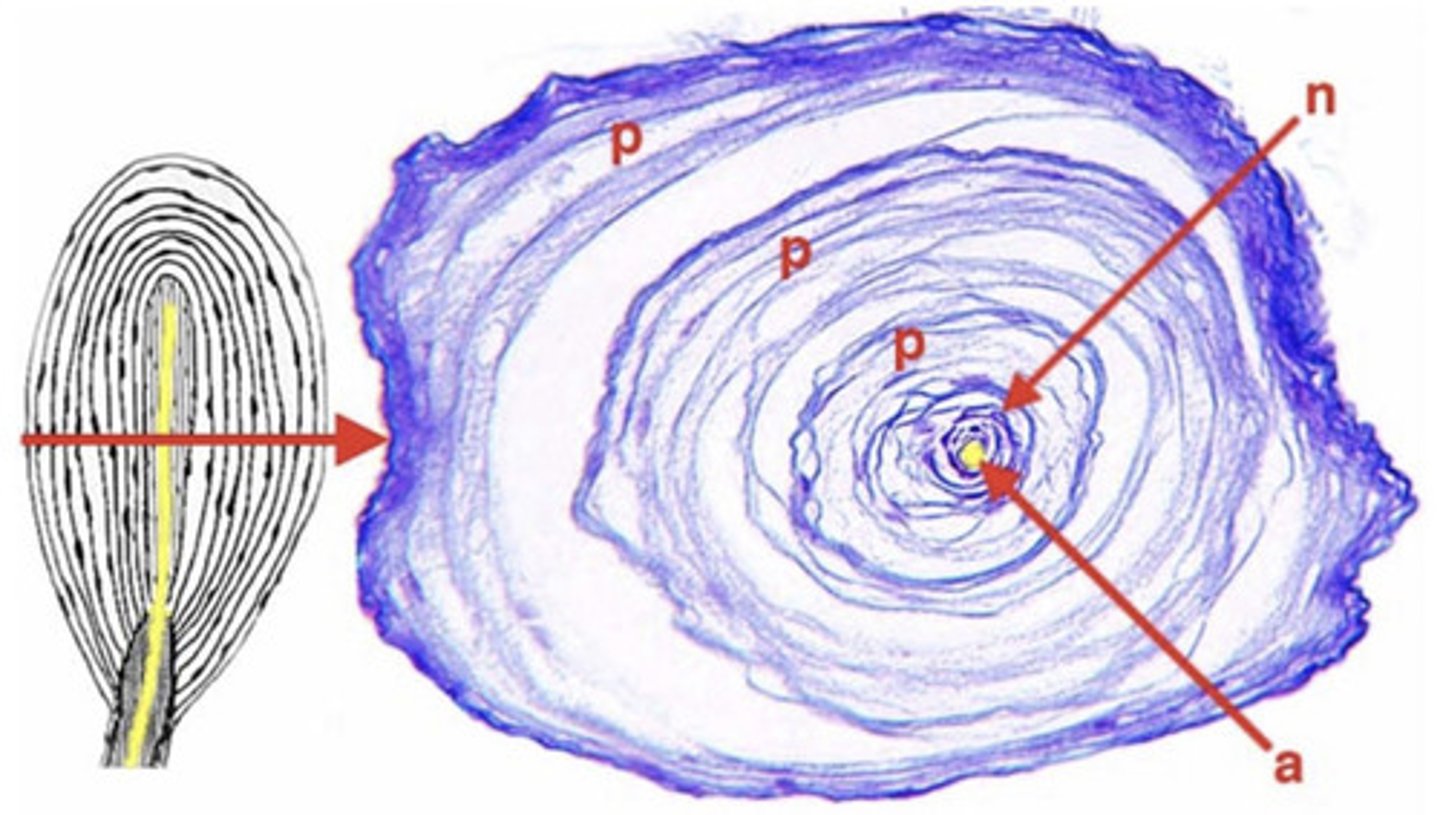 <p>what is this?</p>