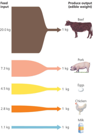 <p><span>Raising which of the following requires the least land and water per kilogram of protein produced?</span></p>